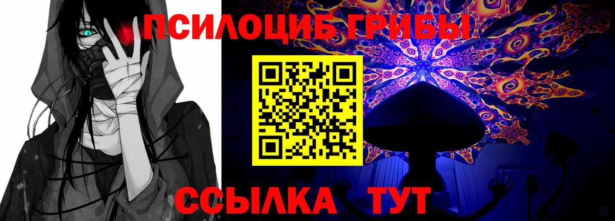 Галлюциногенные грибы GOLDEN TEACHER Гусь-Хрустальный