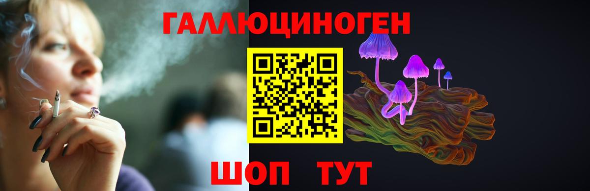 Псилоцибиновые грибы Psilocybine cubensis  Вход с VPN  Гусь-Хрустальный 
